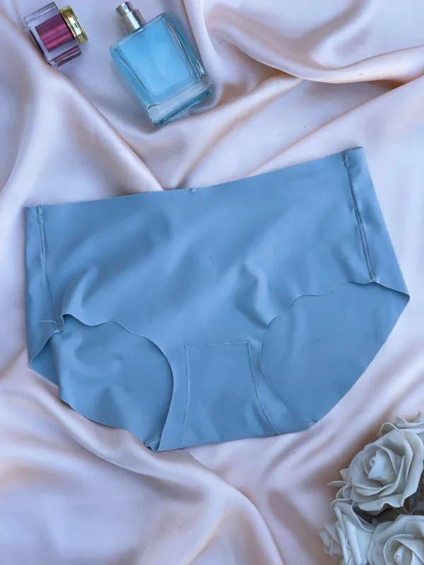 SIMPLE SKY BLUE SEAMLESS PANTIES