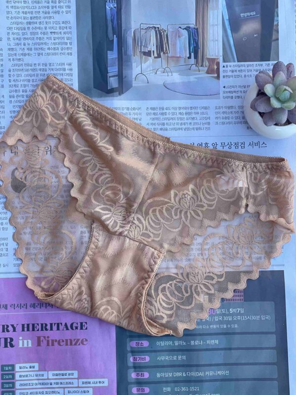 Brown LACE BLOSSOM DELIGHT PANTY