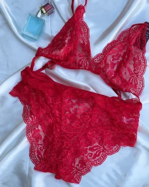 Red Fancy Net Bra with lingerie complete set