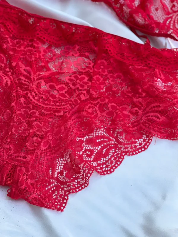 Red fancy Net lingerie