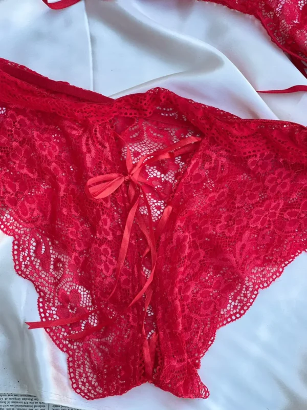 Red fancy Net lingerie